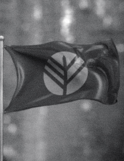 The Lovat Flag